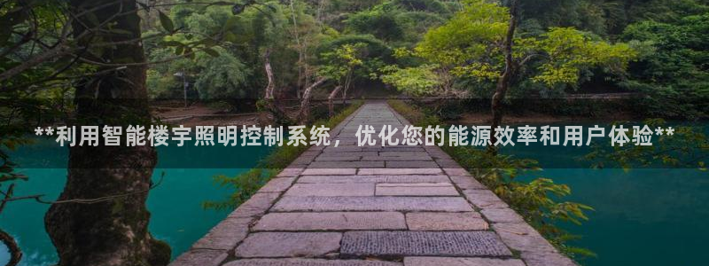 **利用智能楼宇照明控制系统,优化您的能源效率和用户体验**