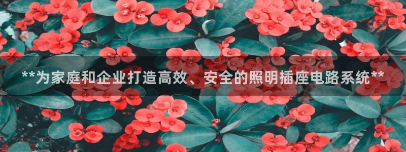 **为家庭和企业打造高效、安全的照明插座电路系统**