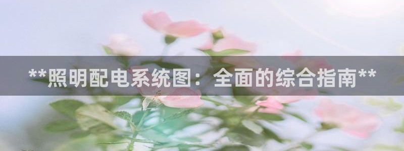 **照明配电系统图：全面的综合指南**