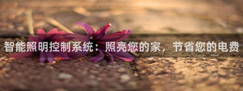 智能照明控制系统：照亮您的家，节省您的电费