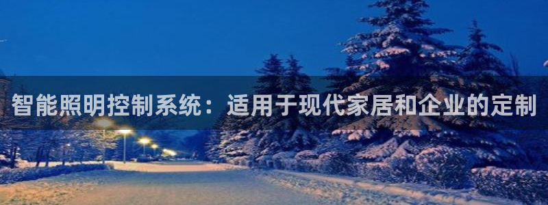 智能照明控制系统：适用于现代家居和企业的定制