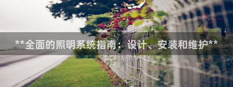 **全面的照明系统指南：设计、安装和维护**
