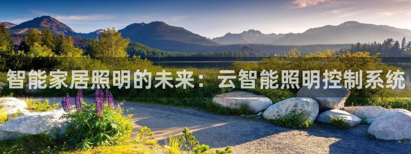 智能家居照明的未来：云智能照明控制系统