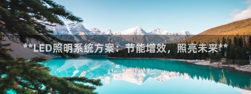 **LED照明系统方案：节能增效，照亮未来**