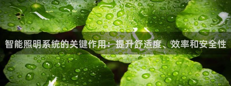 智能照明系统的关键作用：提升舒适度、效率和安全性