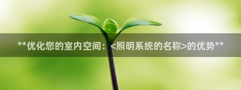 **优化您的室内空间：<照明系统的名称>的优势**
