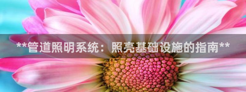 **管道照明系统：照亮基础设施的指南**