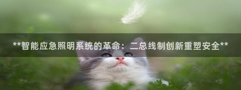 **智能应急照明系统的革命：二总线制创新重塑安全**