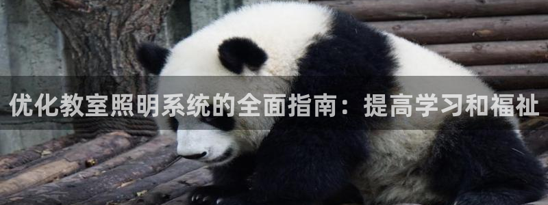 优化教室照明系统的全面指南：提高学习和福祉