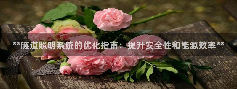 **隧道照明系统的优化指南：提升安全性和能源效率**