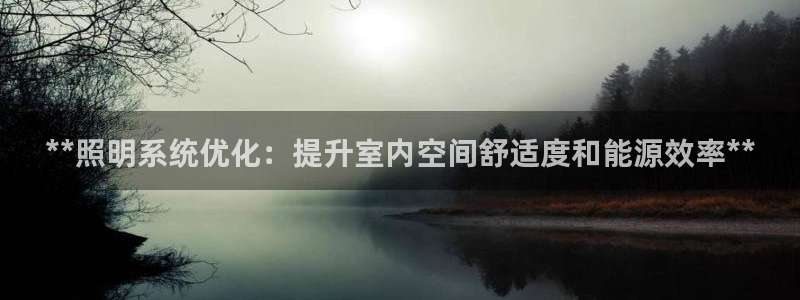 **照明系统优化：提升室内空间舒适度和能源效率**