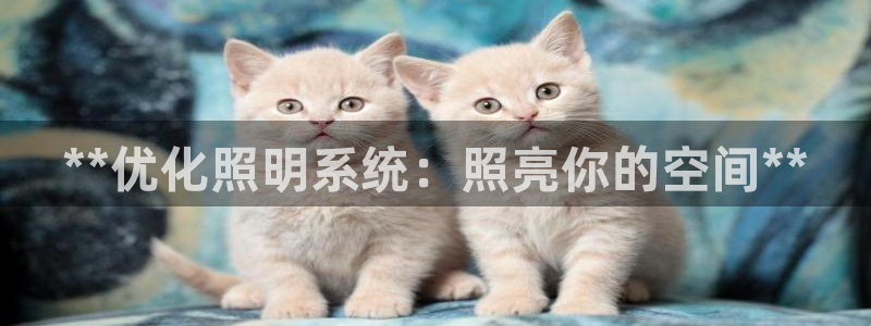**优化照明系统：照亮你的空间**