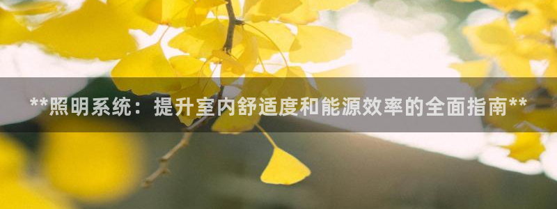 **照明系统：提升室内舒适度和能源效率的全面指南**