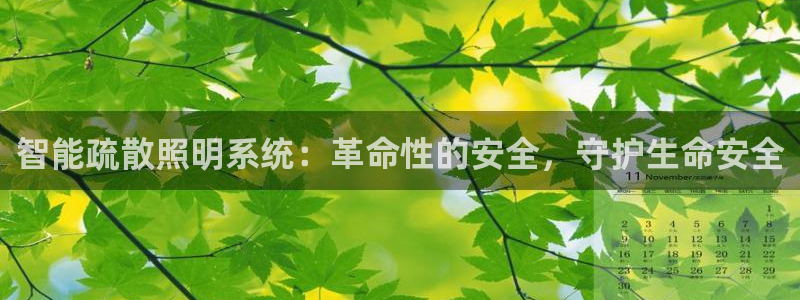 智能疏散照明系统：革命性的安全，守护生命安全