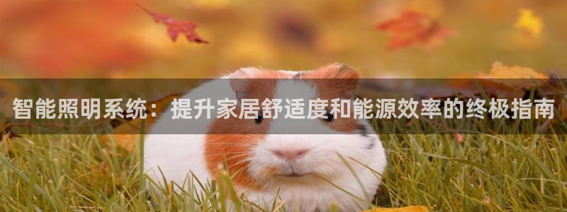 智能照明系统：提升家居舒适度和能源效率的终极指南