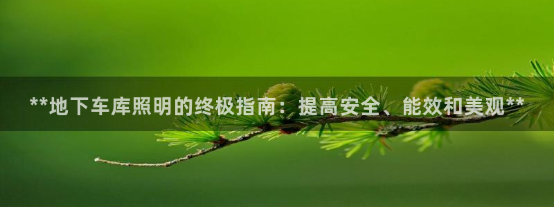 **地下车库照明的终极指南：提高安全、能效和美观**