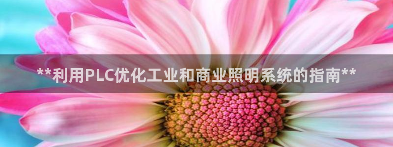 **利用PLC优化工业和商业照明系统的指南**