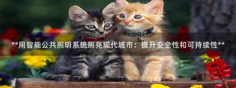 **用智能公共照明系统照亮现代城市:提升安全性和可持续性**