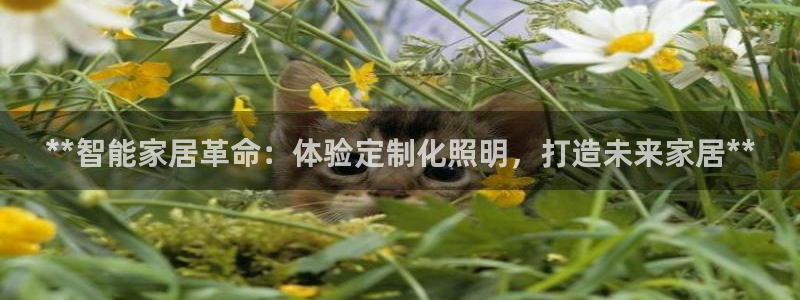 **智能家居革命：体验定制化照明，打造未来家居**