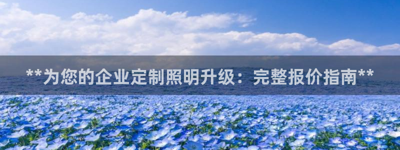 **为您的企业定制照明升级：完整报价指南**