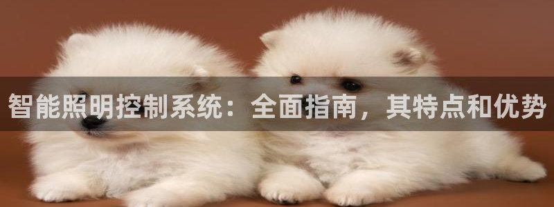 智能照明控制系统：全面指南，其特点和优势