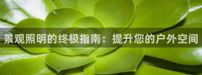 景观照明的终极指南：提升您的户外空间