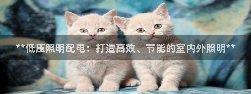 **低压照明配电：打造高效、节能的室内外照明**