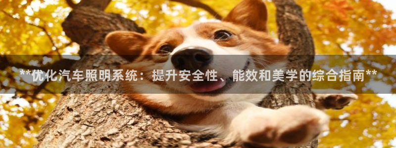 **优化汽车照明系统:提升安全性、能效和美学的综合指南**
