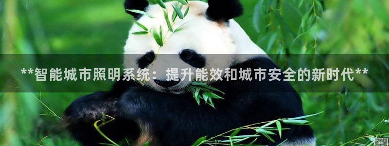 **智能城市照明系统：提升能效和城市安全的新时代**