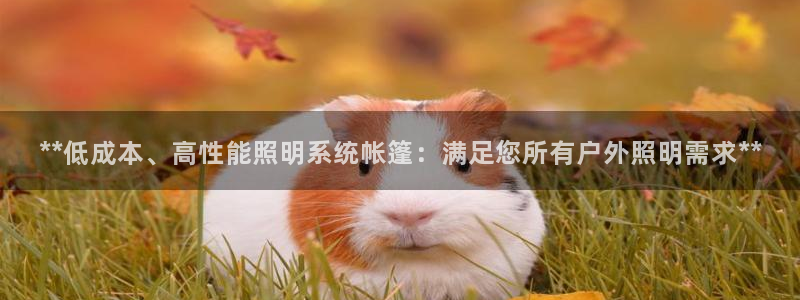 **低成本、高性能照明系统帐篷：满足您所有户外照明需求**