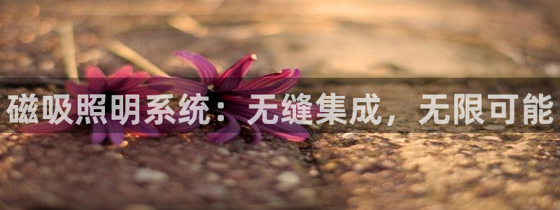 磁吸照明系统：无缝集成，无限可能