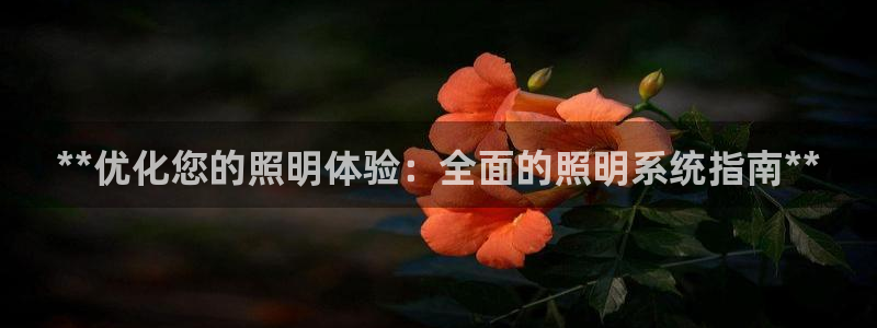 **优化您的照明体验：全面的照明系统指南**