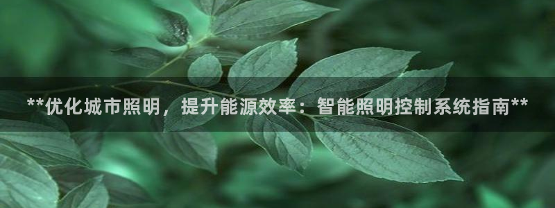 **优化城市照明,提升能源效率:智能照明控制系统指南**