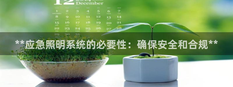 **应急照明系统的必要性：确保安全和合规**