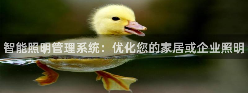 智能照明管理系统:优化您的家居或企业照明