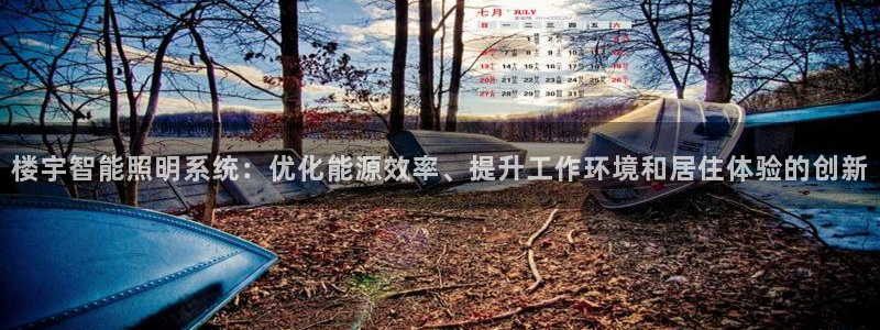 楼宇智能照明系统:优化能源效率、提升工作环境和居住体验的创新