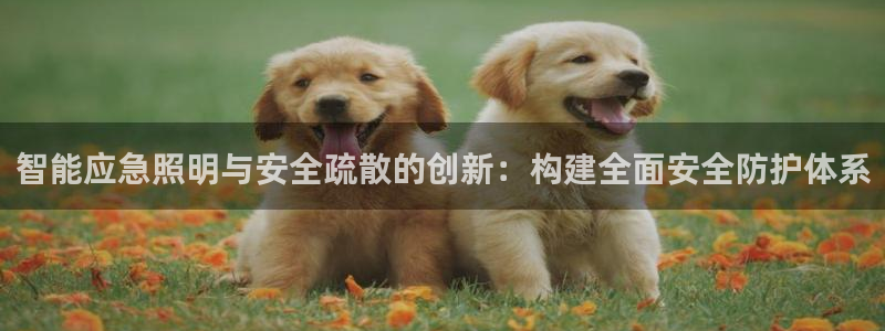 智能应急照明与安全疏散的创新:构建全面安全防护体系