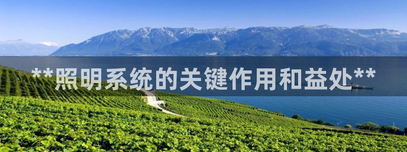 **照明系统的关键作用和益处**