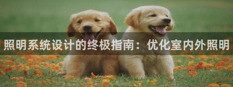 照明系统设计的终极指南：优化室内外照明