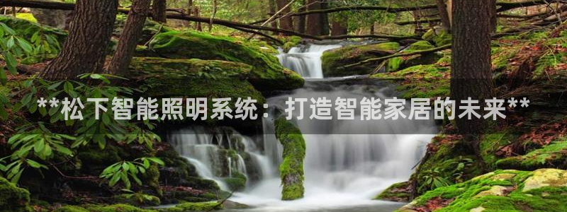 **松下智能照明系统：打造智能家居的未来**