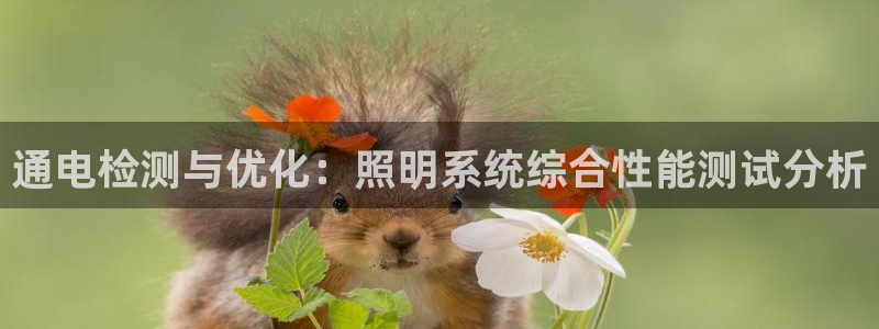 通电检测与优化：照明系统综合性能测试分析