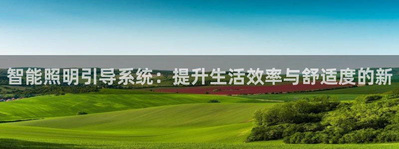 智能照明引导系统：提升生活效率与舒适度的新