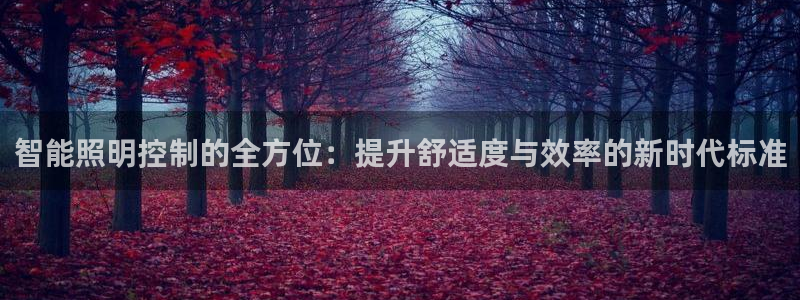 智能照明控制的全方位：提升舒适度与效率的