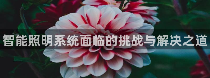 智能照明系统面临的挑战与解决之道