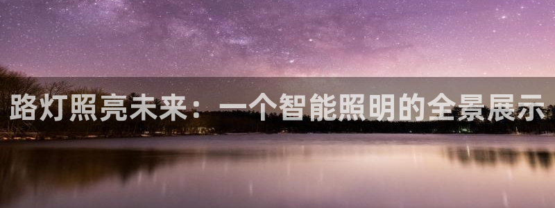 路灯照亮未来：一个智能照明的全景展示