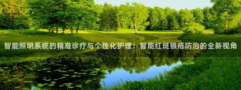 智能照明系统的精准诊疗与个性化护理：智能