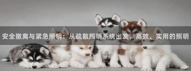 安全撤离与紧急照明：从疏散照明系统出发，