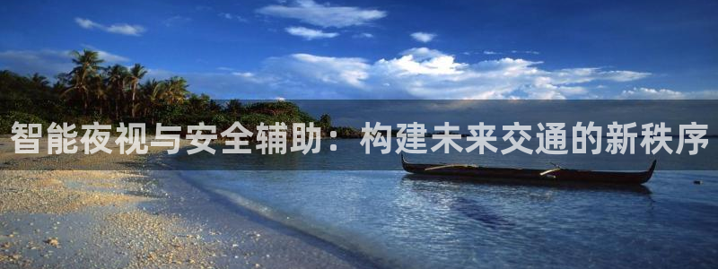 智能夜视与安全辅助：构建未来交通的新秩序