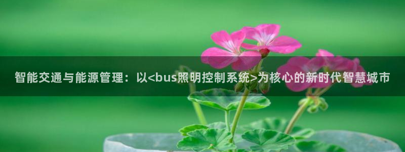 智能交通与能源管理：以<bus照明控制系统>为核心的新时代智慧城市