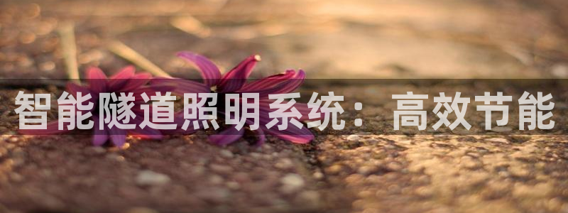 智能隧道照明系统:高效节能